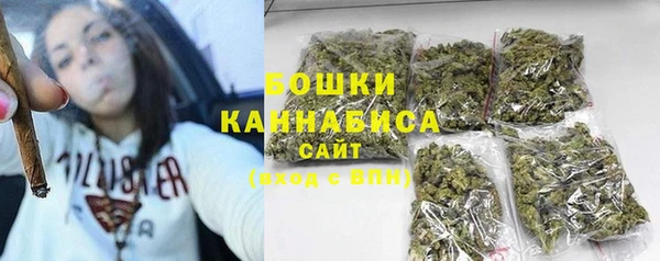 дурь Пересвет