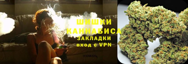 дурь Пересвет